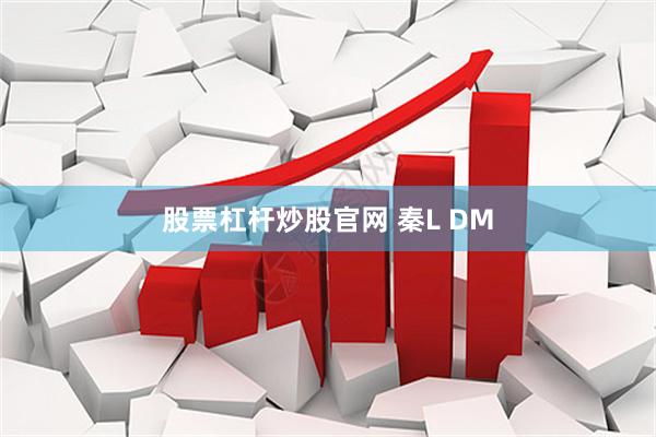 股票杠杆炒股官网 秦L DM