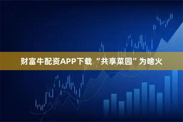 财富牛配资APP下载 “共享菜园”为啥火