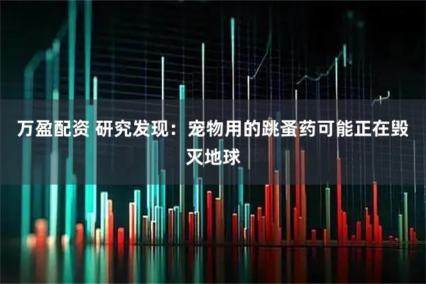 万盈配资 研究发现：宠物用的跳蚤药可能正在毁灭地球
