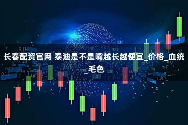 长春配资官网 泰迪是不是嘴越长越便宜_价格_血统_毛色