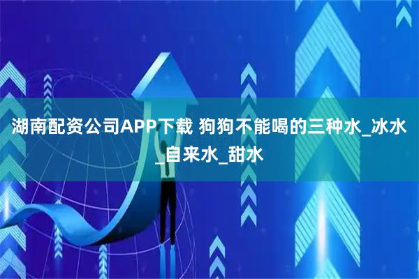 湖南配资公司APP下载 狗狗不能喝的三种水_冰水_自来水_甜水